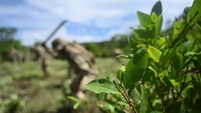 Bolivian soldiers destroy coca plants as part of an eradication program of surplus coca leaf, as the country resumes operational cooperation with the U.S. Drug Enforcement Administration (DEA) after a 17-year absence, in a move that the government says is part of a broader, multinational strategy to combat organized crime, in Chimore, Chapare, Bolivia March 5, 2026. REUTERS/Claudia Morales