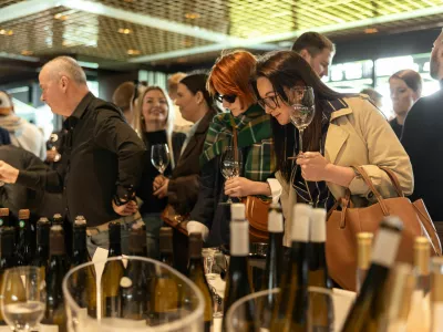 Festival je privabil okoli 600 obiskovalcev 