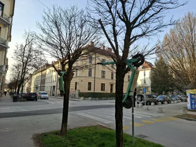 Protest ali vandalizem? Električni skiroji kar na drevesih