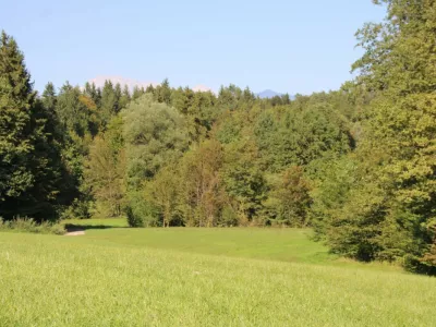 Zelena luč za začetek odkupov zemlji&scaron;č