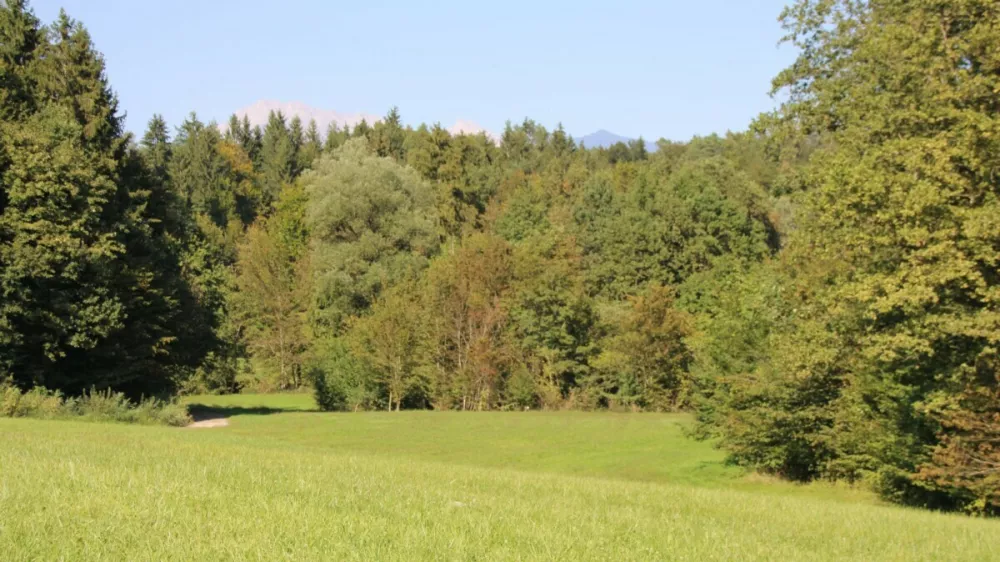 Zelena luč za začetek odkupov zemlji&scaron;č