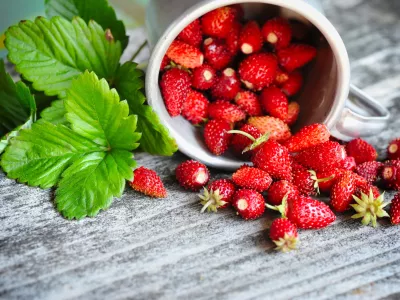 Fresh wild strawberries on an old wooden table