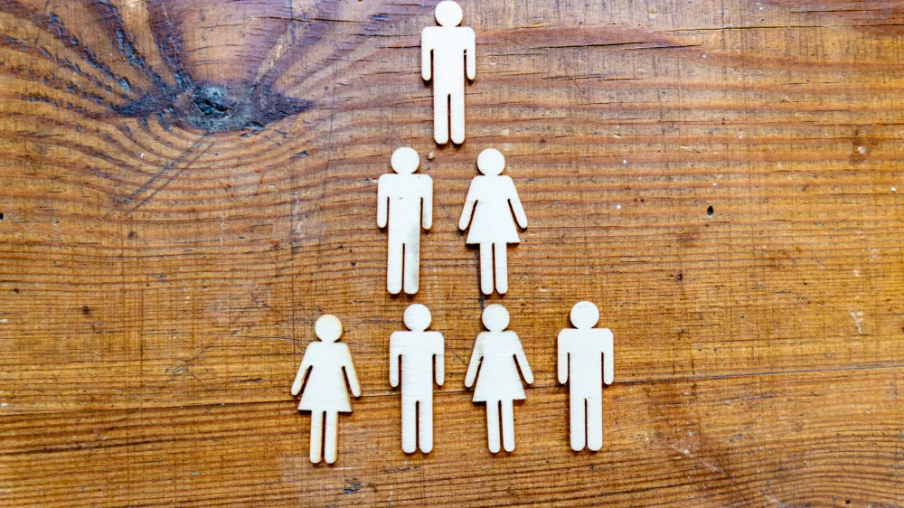 &raquo;Če je mogoče, naj podjetje deluje s čim manj hierarhičnimi ravnmi, da birokracija ne ovira pri udejanjanju idej, saj je hierarhičnost pogosta ovira za vzpostavitev podjetnosti bolj naklonjene kulture.&laquo;