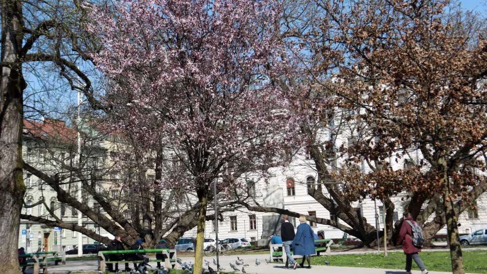 24.03.2026 -simbolična fotografija - pomla, Miklo&scaron;ičev parkFoto: Tomaž Skal / Foto: Tomaž Skale