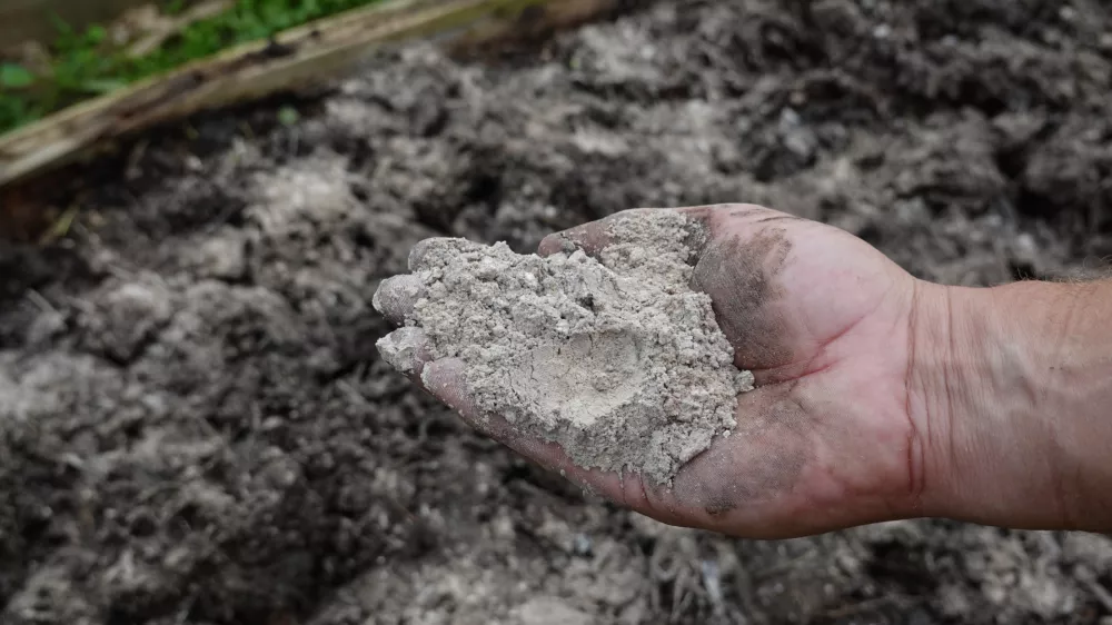 V tem pepelu se skriva marsikaj koristnega. / Foto: Istock