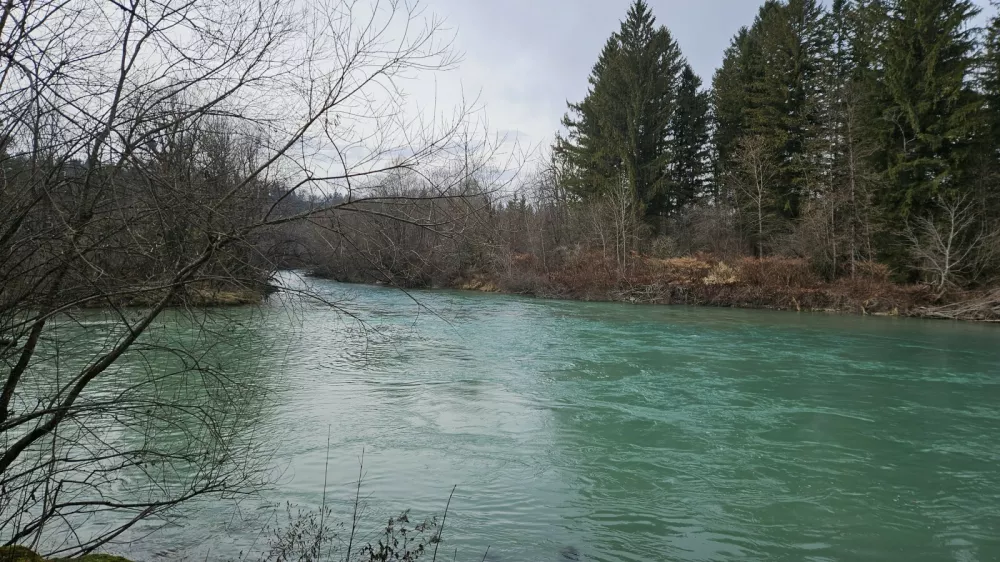 Preučujejo, v kak&scaron;nem stanju je sotočje Sav