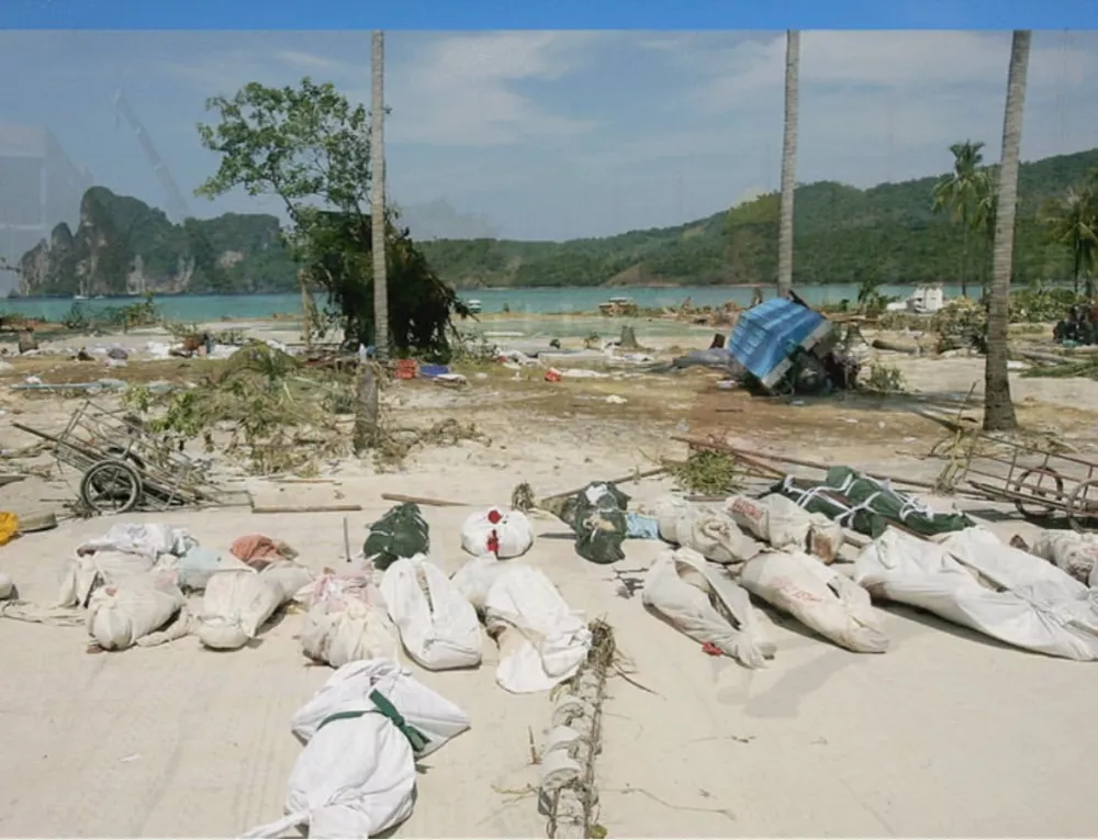 Posledice so bile grozljive. Eden največjih izzivov je bilo identificirati trupla. / Foto: Profimedia