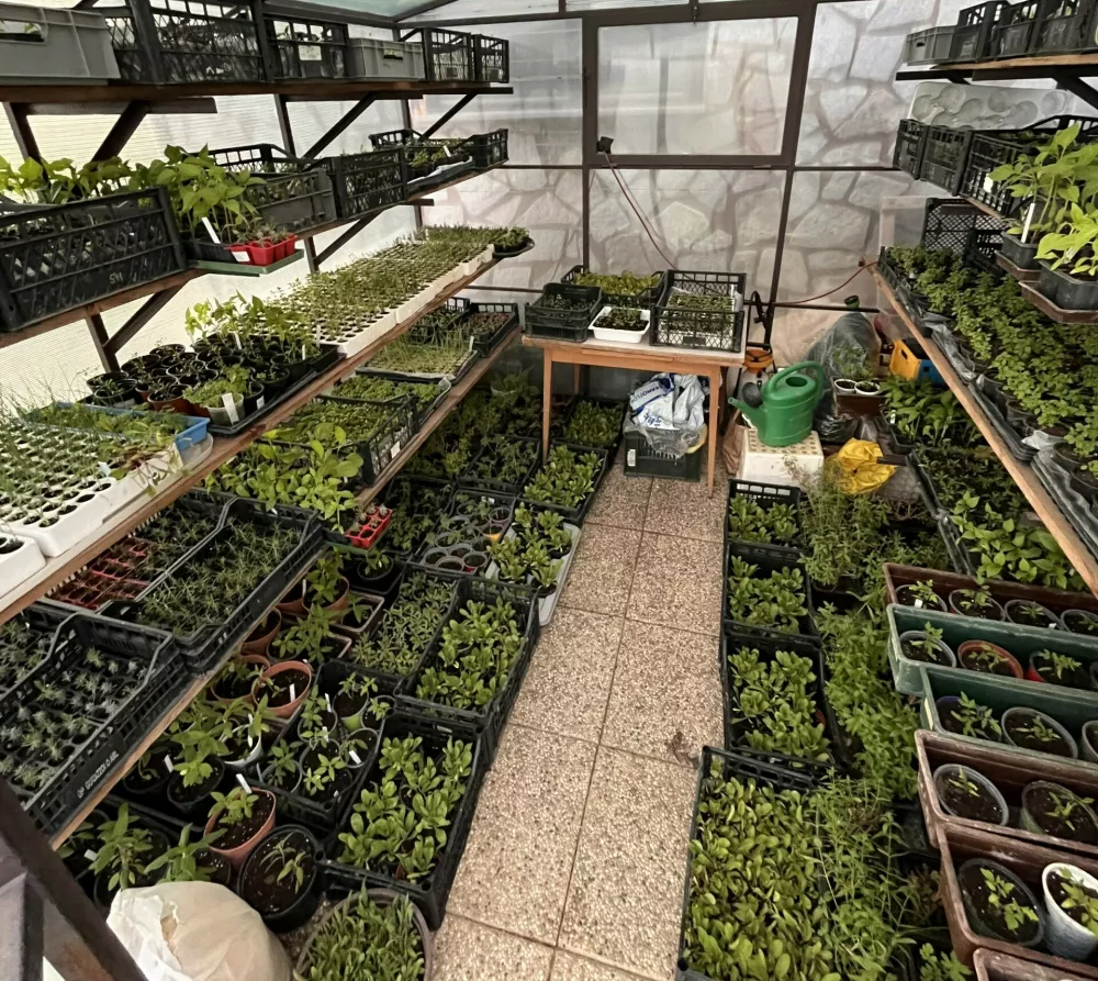 Zeli&scaron;čni raj sredi Slovenskih goric: pristna zgodba biologa in ekonomistke za fejst dober den