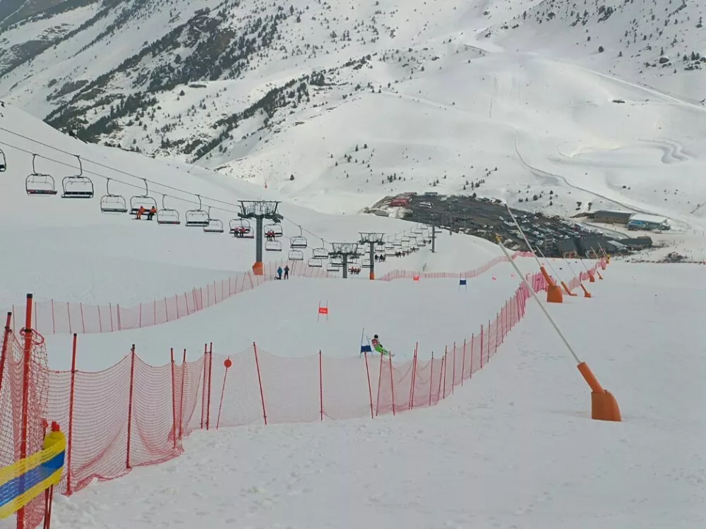 boi taull / Foto: Bojan Glavič