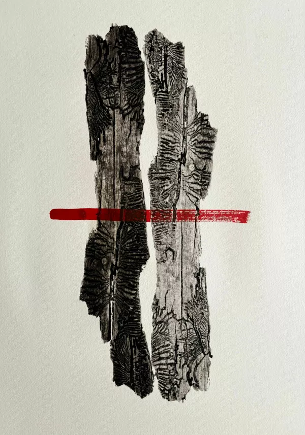 Odtisi smrekovega lubja in kaktusove sredice