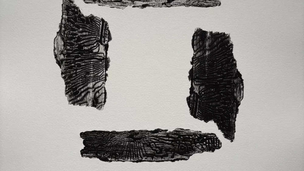 Grafika Jagode Jejčič