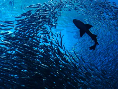 Photo taken in Sendai-Shi, Japan / Foto: Eyeem Mobile Gmbh Getty Images