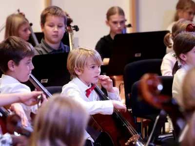 Zasebne glasbene &scaron;ole: Elitni hibrid med zasebnim in javnim