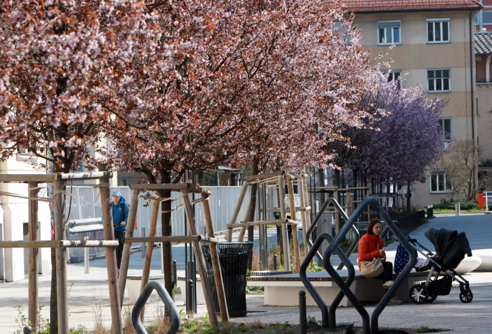 (FOTOZGODBA) Danes &scaron;e v cvetju, jutri v snegu