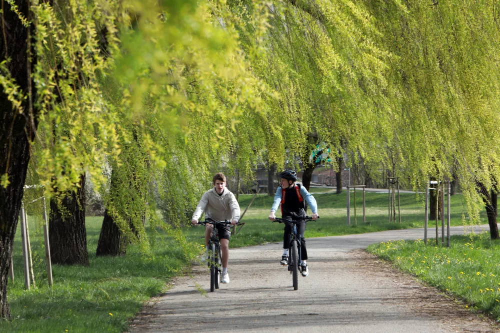 (FOTOZGODBA) Danes &scaron;e v cvetju, jutri v snegu