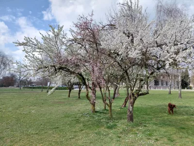 (FOTOZGODBA) Danes &scaron;e v cvetju, jutri v snegu