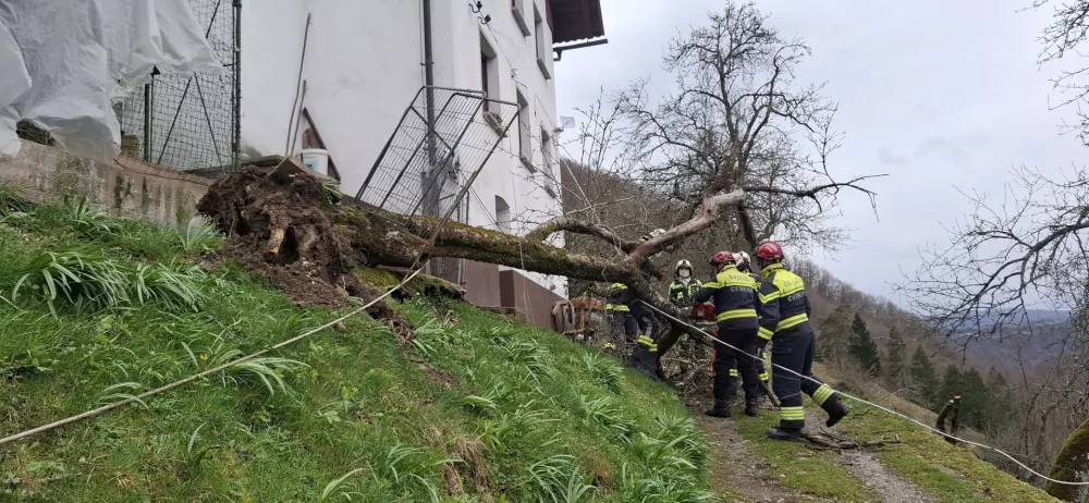 Močan veter je ruval drevesa. Foto: PGD Cerkno