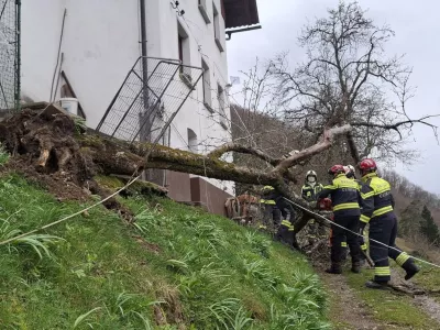 Močan veter je ruval drevesa. Foto: PGD Cerkno