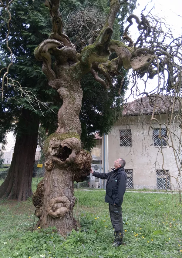 Jože Prah, Savus / Foto: Katja Petrovec