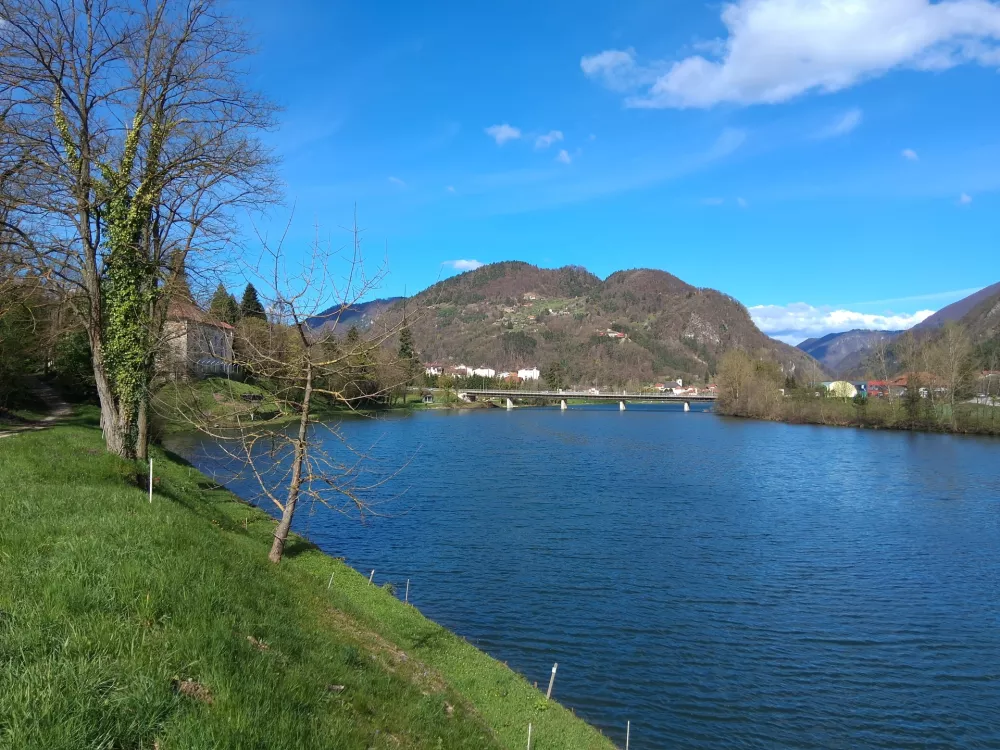 savus učna gozdna pot / Foto: Katja Petrovec