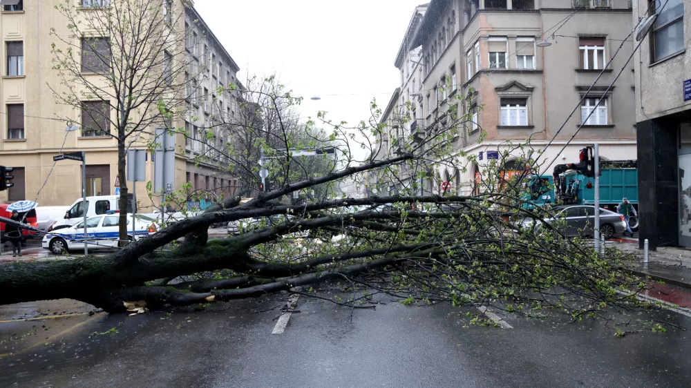 26.03.2026.Zagreb - Nevrijeme i jak vjetar sru&scaron;ili su nekoliko stabala u centru grada te stvorili apsolutni prometni kaos. Photo: Josip Mikacic/PIXSELL