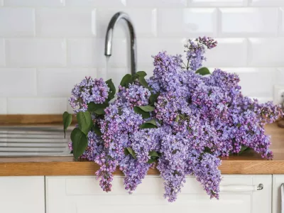 Naj raje di&scaron;i kot smrdi &hellip; / Foto: Profimedia