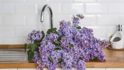 Naj raje di&scaron;i kot smrdi &hellip; / Foto: Profimedia