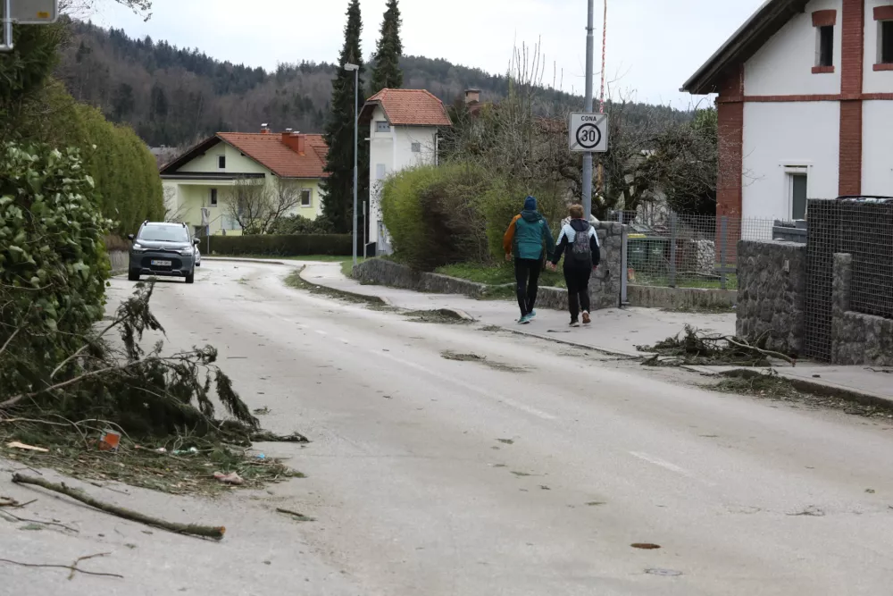27.3.2026 - Vetrolom - močan veter - rdeči alarmFoto: Luka Cjuha