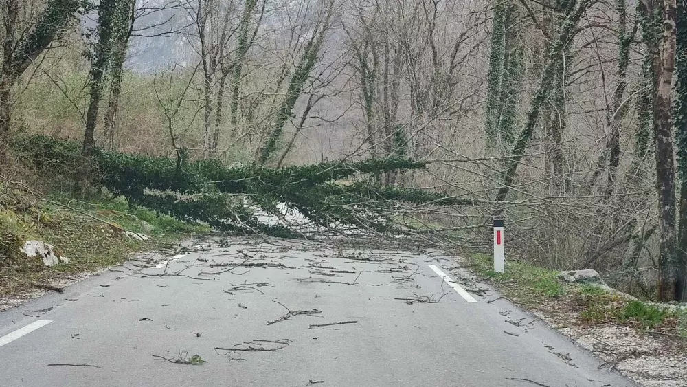 Obcina Kobarid.Posledice mocnega vetra v obcini Kobarid.Foto: Arhiv CZ Kobarid