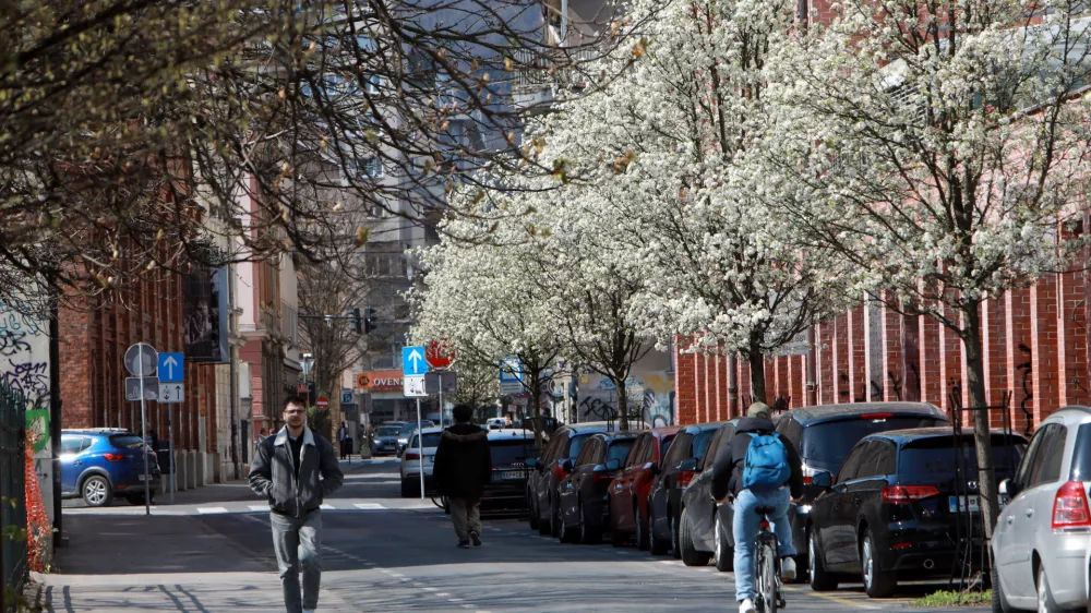 24.03.2026 -simbolična fotografija - pomladFoto: Tomaž Skal