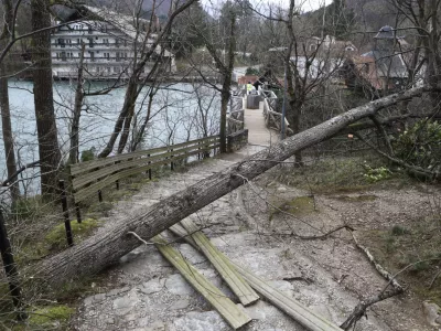 27.3.2026 - Vetrolom - močan veter - rdeči alarmFoto: Luka Cjuha