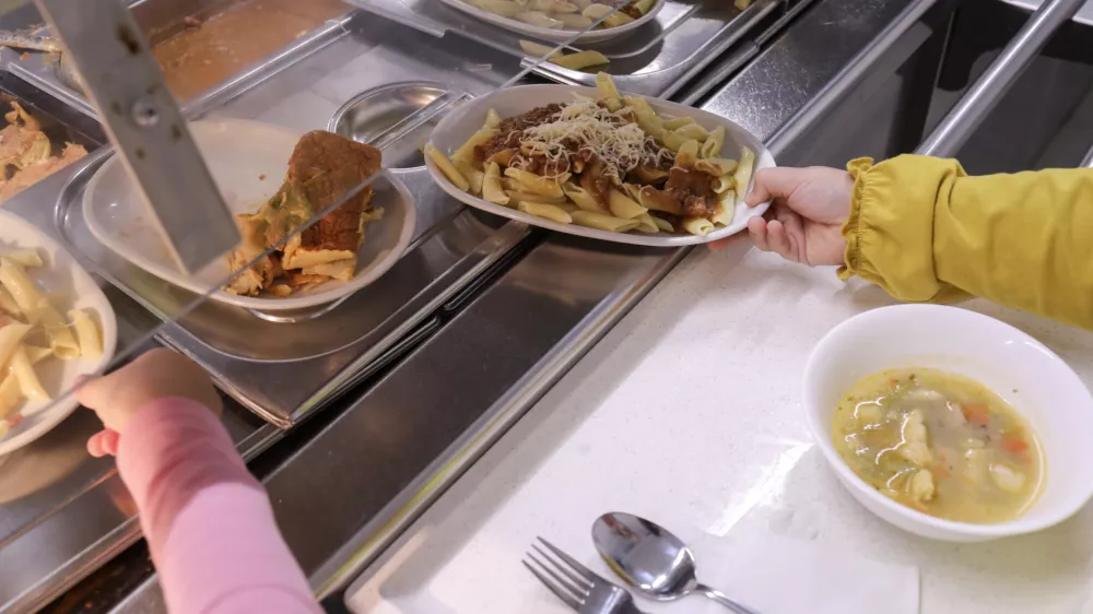 Bodo splo&scaron;ne smernice prehranjevanja podlaga za veganski obrok v &scaron;olah?