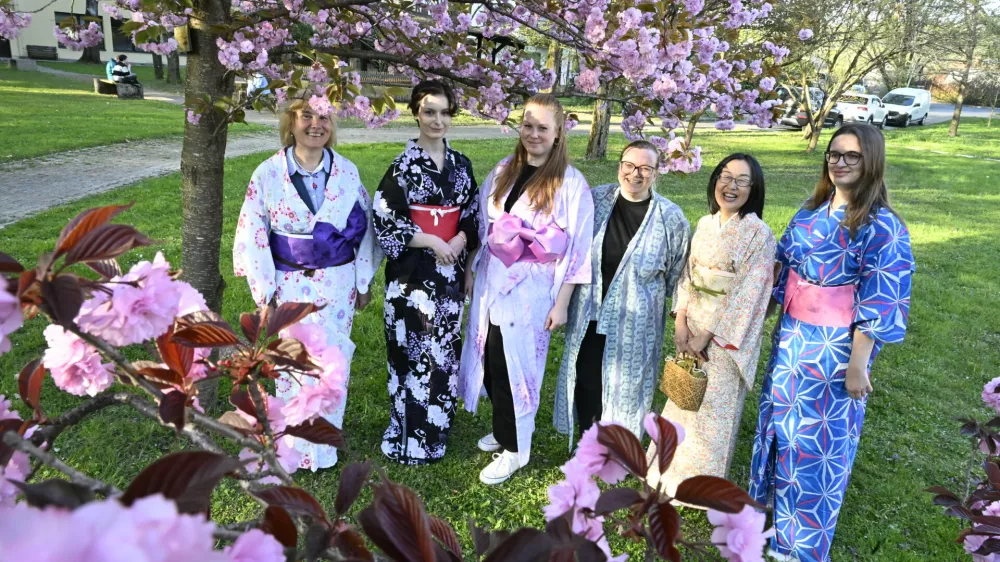 08.04.2026 Hanami Festival 2026 - praznik cvetenja japonskih če&scaron;enj - Biotehni&scaron;ka fakulteta UL, Oddelek za gozdarstvo UL BF..FotoNik Erik Neubauer..