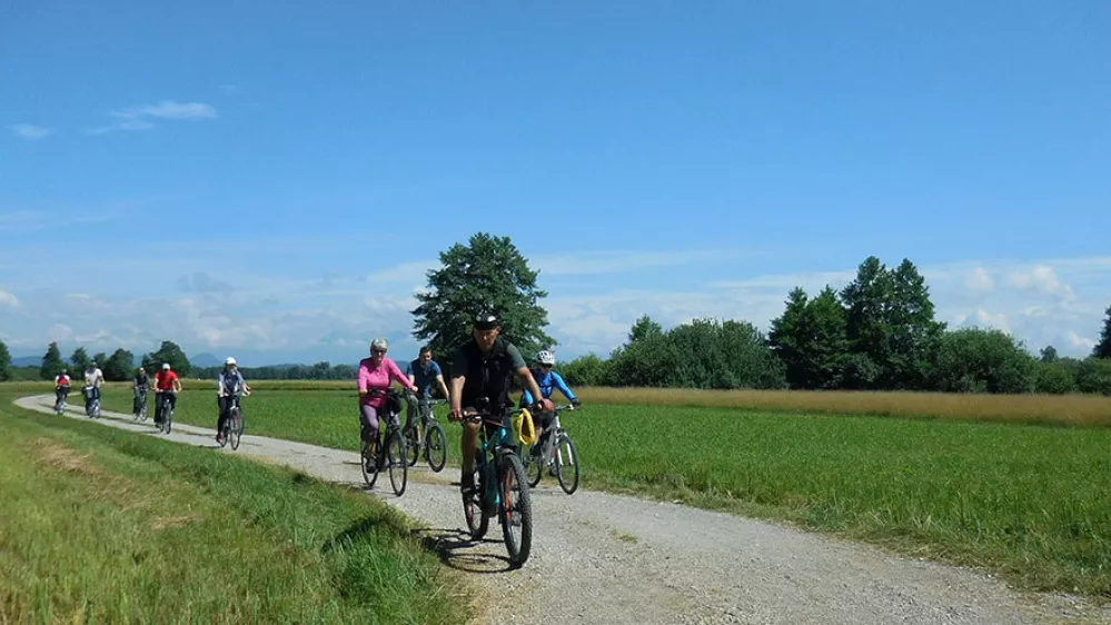 Kolesarjenje po Ljubljanskem barju; Cycling through the Ljubljana marshes