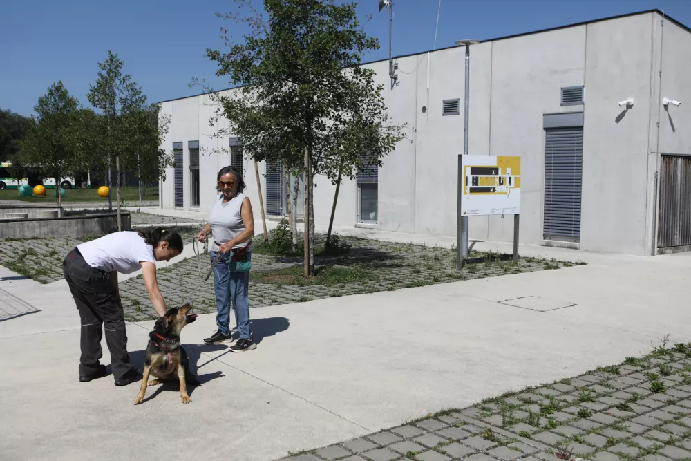 15.07.2025 - Zaveti&scaron;če za zapu&scaron;čene živali Ljubljana, GmajniceFoto: Luka Cjuha