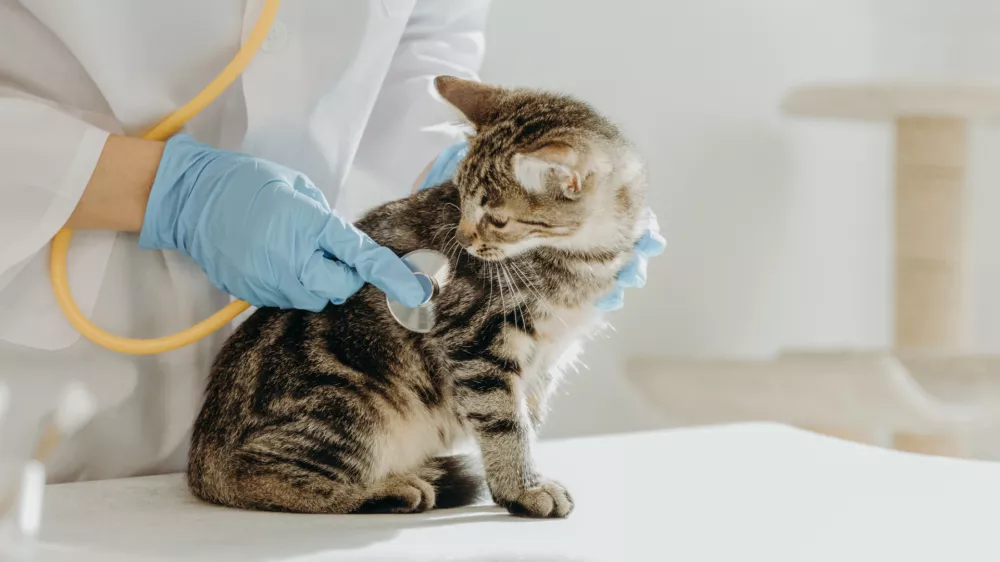 Včasih kak&scaron;no naravno lastnost zamenjamo za bolezen. / Foto: Istock