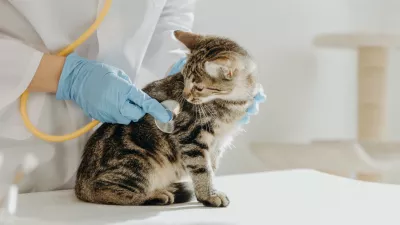 Včasih kak&scaron;no naravno lastnost zamenjamo za bolezen. / Foto: Istock