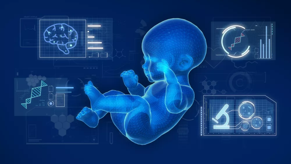 Wire frame of the model of the baby with graphics research on blue screen.3D rendering. / Foto: Jm1366