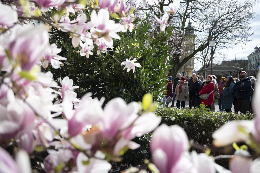 01.04.26 - Botanični ogled po Tivoliju - botanika Foto: Nik Erik Neubauer 