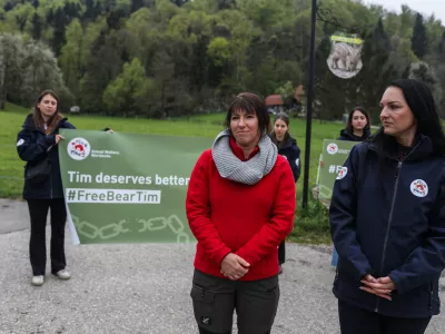- Patricia Tiplea, Odgovorna za re&scaron;evanje živali pri FOUR PAWS,- Johanna Painer-Gigler, veterinarka za divje živali,- ZOO park Rožman,- 14.04.2026. - Akcija organizacije Four paws (&Scaron;tiri tačke) za veterinarski pregled medveda Tima v Živalskem vrtu Rožman v Vrzdencu in morebitno preselitev v Zaveti&scaron;če za medvede v Arbesbachu v Avstriji.//FOTO: Bojan Velikonja