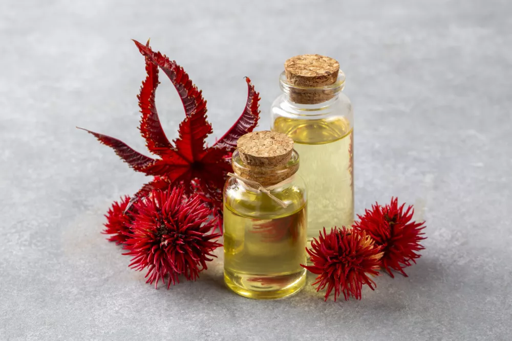 Ricin je sila nevaren. / Foto: Istock