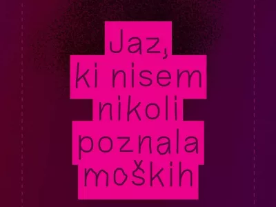 Jaz, ki nisem nikoli poznala mo&scaron;kih, roman