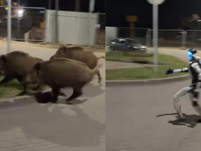 Robot preganja divje pra&scaron;iče