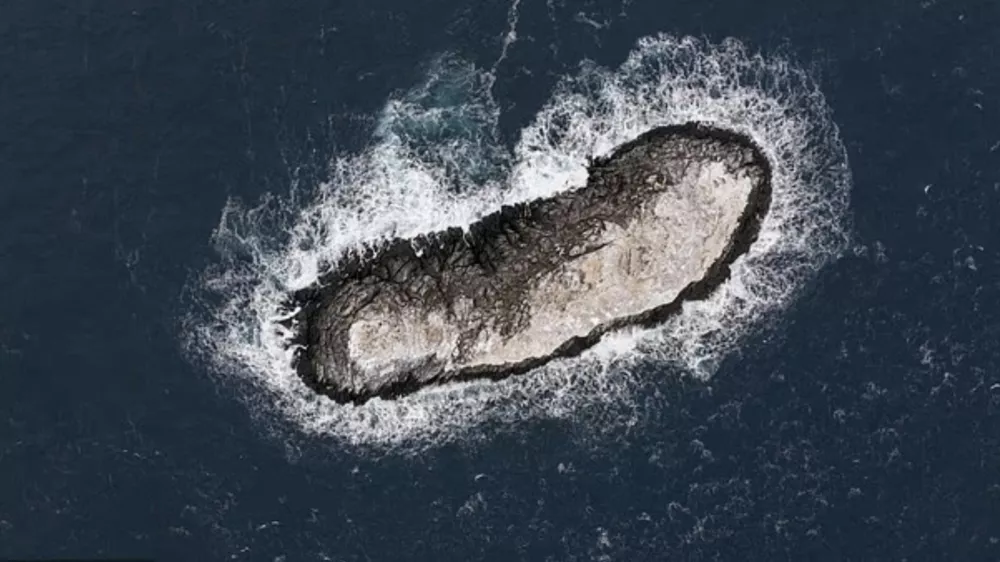 Foto: zajem zaslona X