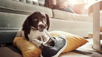 Vedenje ni naključno. / Foto: Istock