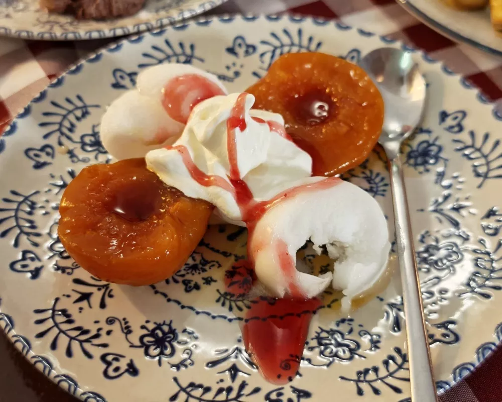 Breskev melba z limonovim sorbetom, Konoba Dario