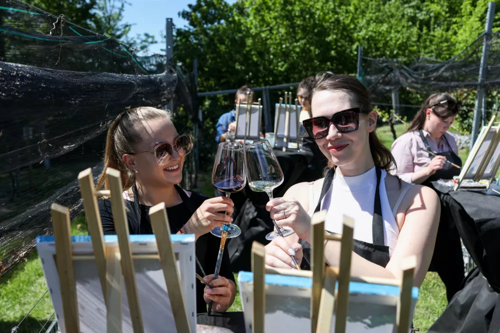 Trte nad mestom dobro uspevajo