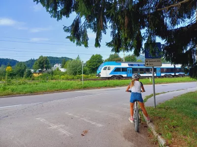 Moteča vegetacija AVP