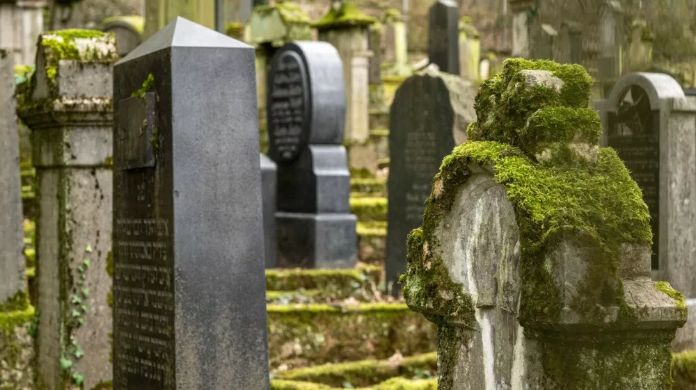 Blick auf den Alten J&uuml;dischen Friedhof 06.02.2024, Limburg: Symbolfoto, Illustrationsbild, Symbolbild, Illustrationsfoto Blick auf den Alten J&uuml;dischen Friedhof Ein stimmungsvoller Wintertag auf dem Alten J&uuml;dischen Friedhof, gepr&auml;gt von der idyllischen Ruhe ohne Schnee. Die teils vermosten Grabsteine erz&auml;hlen Geschichten vergangener Zeiten, umgeben von der sanften Sch&ouml;nheit der herbstlichen Natur.. Limburg Hessen Germany *** View of the Old Jewish Cemetery 06 02 2024, Limburg Symbol photo, illustration image, symbol image, illustration photo View of the Old Jewish Cemetery An atmospheric winter day at the Old Jewish Cemetery, characterized by the idyllic tranquility without snow The partly mossy gravestones tell stories of by,Image: 844043958, License: Rights-managed, Restrictions: imago is entitled to issue a simple usage license at the time of provision. Personality and trademark rights as well as copyright laws regarding art-works shown must be observed. Commercial use at your own risk., Model Release: no