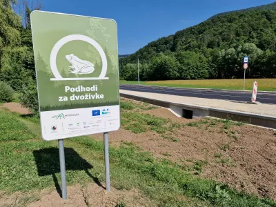 Ko človek pomaga naravi: zgodba o re&scaron;enih selitvah